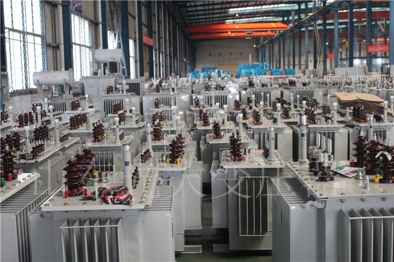 上海S22-800KVA/10KV